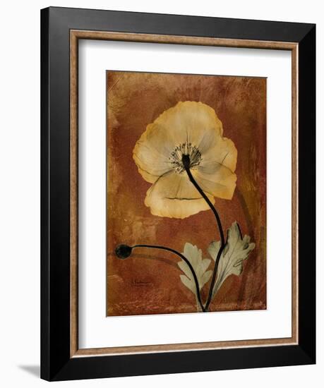 Topaze Opus Iceland Poppy-Albert Koetsier-Framed Art Print