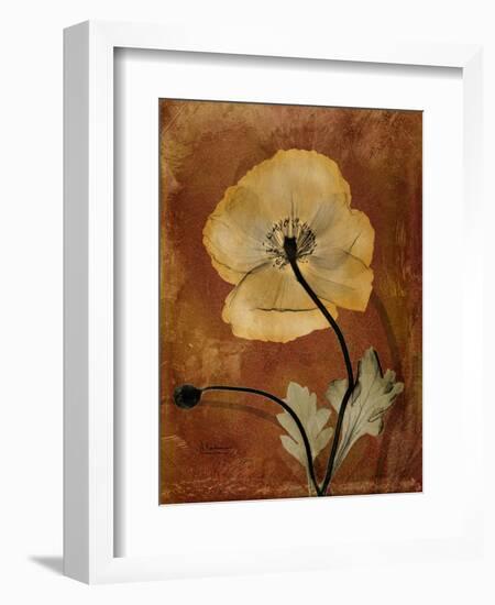 Topaze Opus Iceland Poppy-Albert Koetsier-Framed Art Print