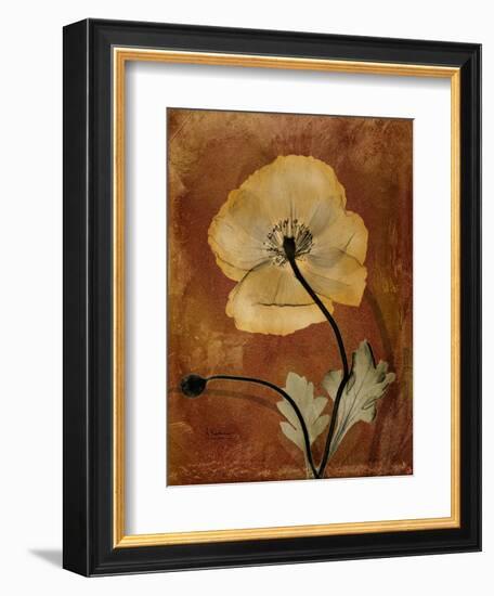 Topaze Opus Iceland Poppy-Albert Koetsier-Framed Art Print