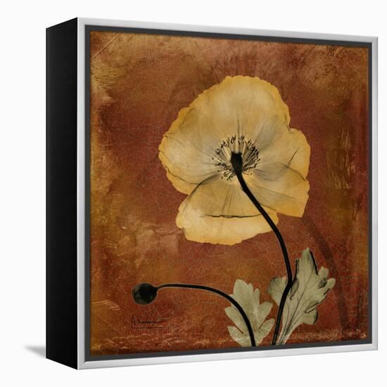 Topaze Opus Iceland Poppy-Albert Koetsier-Framed Stretched Canvas