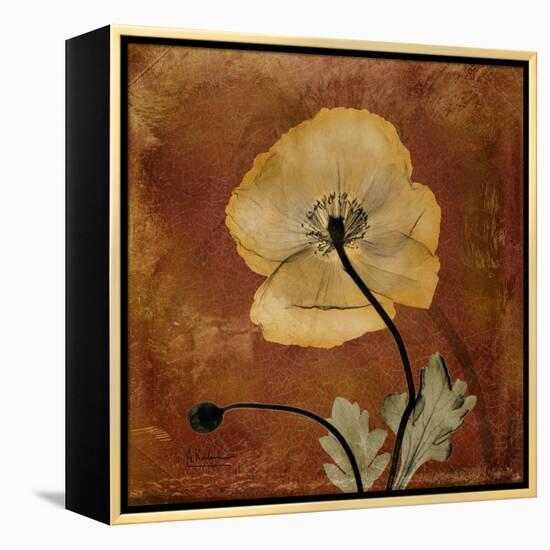 Topaze Opus Iceland Poppy-Albert Koetsier-Framed Stretched Canvas