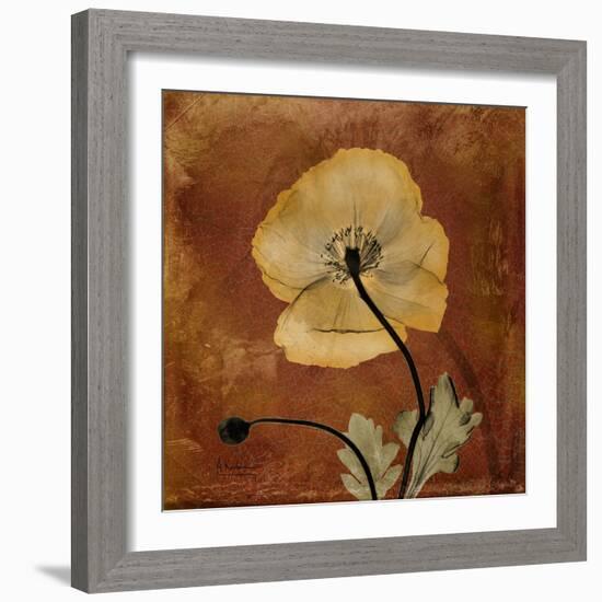 Topaze Opus Iceland Poppy-Albert Koetsier-Framed Premium Giclee Print