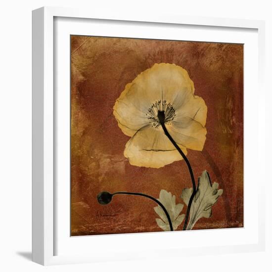 Topaze Opus Iceland Poppy-Albert Koetsier-Framed Premium Giclee Print