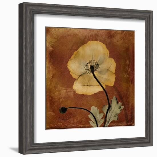 Topaze Opus Iceland Poppy-Albert Koetsier-Framed Art Print