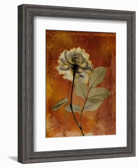 Topaze Opus Rose-Albert Koetsier-Framed Art Print