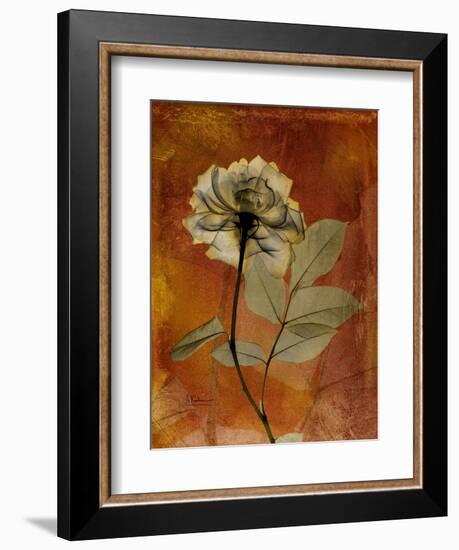 Topaze Opus Rose-Albert Koetsier-Framed Art Print