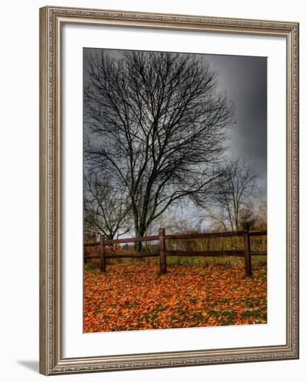 Topcat-Jim Crotty-Framed Photographic Print