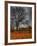 Topcat-Jim Crotty-Framed Photographic Print