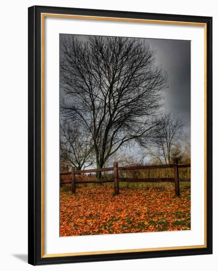 Topcat-Jim Crotty-Framed Photographic Print