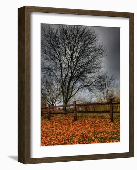 Topcat-Jim Crotty-Framed Photographic Print