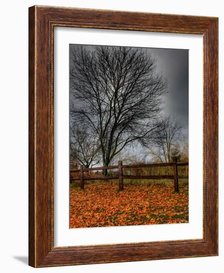 Topcat-Jim Crotty-Framed Photographic Print