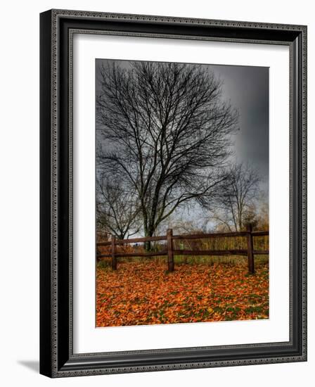 Topcat-Jim Crotty-Framed Photographic Print