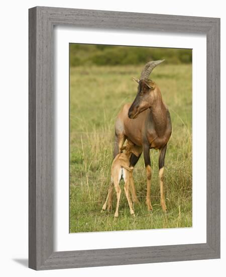 Topi and Nursing Baby-Joe McDonald-Framed Photographic Print