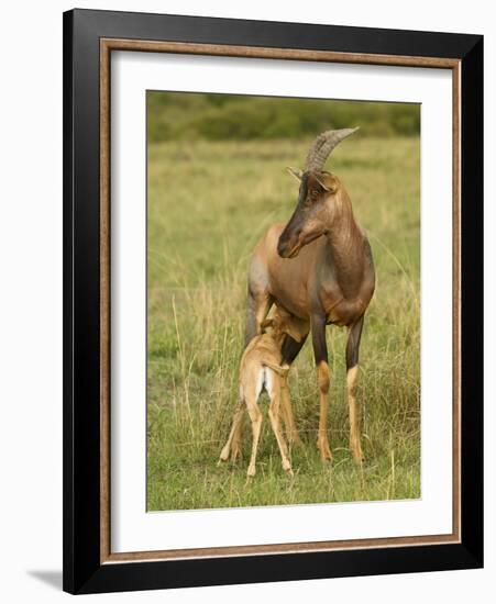 Topi and Nursing Baby-Joe McDonald-Framed Photographic Print