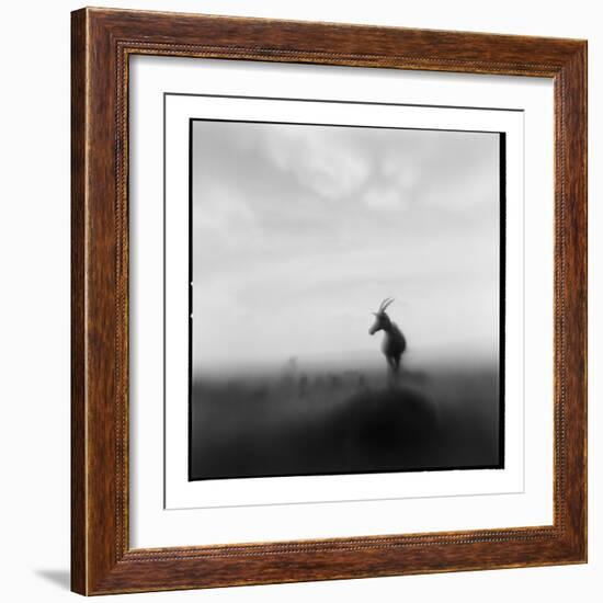 Topi Antelope, Masai Mara Game Reserve, Kenya-Paul Souders-Framed Photographic Print