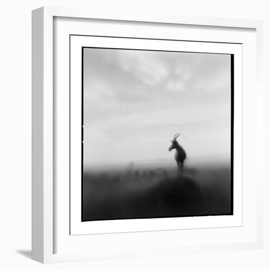 Topi Antelope, Masai Mara Game Reserve, Kenya-Paul Souders-Framed Photographic Print