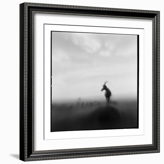 Topi Antelope, Masai Mara Game Reserve, Kenya-Paul Souders-Framed Photographic Print