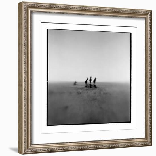 Topi Antelope, Masai Mara Game Reserve, Kenya-Paul Souders-Framed Photographic Print