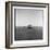 Topi Antelope, Masai Mara Game Reserve, Kenya-Paul Souders-Framed Photographic Print