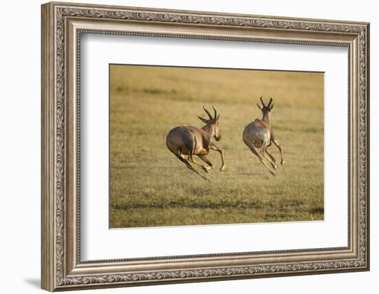 Topi Chase-Joe McDonald-Framed Photographic Print