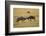 Topi Fight-Joe McDonald-Framed Photographic Print