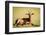 Topi, Masai Mara, Kenya, East Africa, Africa-Karen Deakin-Framed Photographic Print