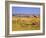 Topi Overlooking Landscape, Kenya-Joe Restuccia III-Framed Photographic Print