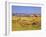 Topi Overlooking Landscape, Kenya-Joe Restuccia III-Framed Photographic Print