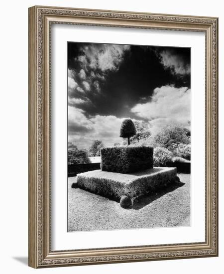 Topiary at Arley Hall, Cheshire, England-Simon Marsden-Framed Giclee Print