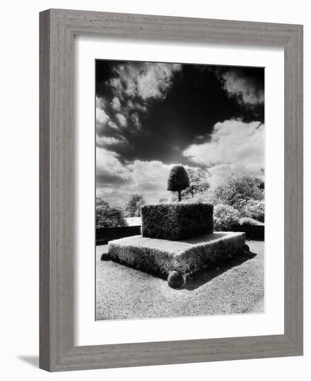 Topiary at Arley Hall, Cheshire, England-Simon Marsden-Framed Giclee Print