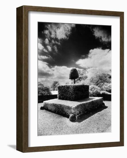 Topiary at Arley Hall, Cheshire, England-Simon Marsden-Framed Giclee Print