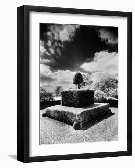 Topiary at Arley Hall, Cheshire, England-Simon Marsden-Framed Giclee Print