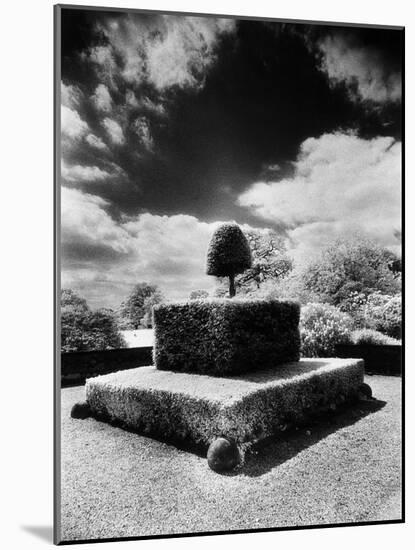 Topiary at Arley Hall, Cheshire, England-Simon Marsden-Mounted Giclee Print