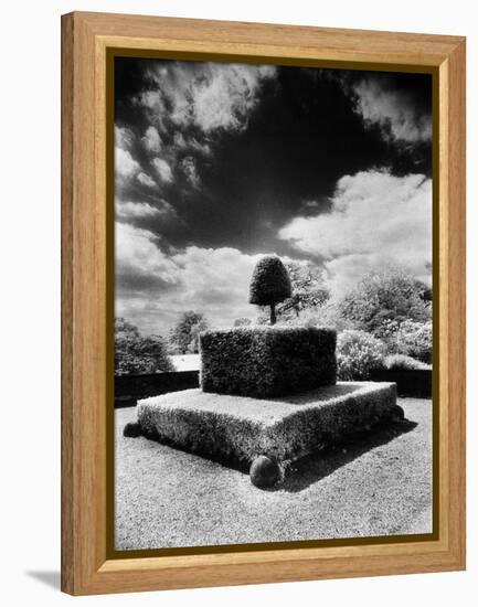 Topiary at Arley Hall, Cheshire, England-Simon Marsden-Framed Premier Image Canvas