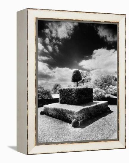 Topiary at Arley Hall, Cheshire, England-Simon Marsden-Framed Premier Image Canvas