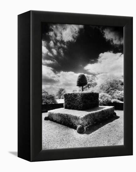 Topiary at Arley Hall, Cheshire, England-Simon Marsden-Framed Premier Image Canvas