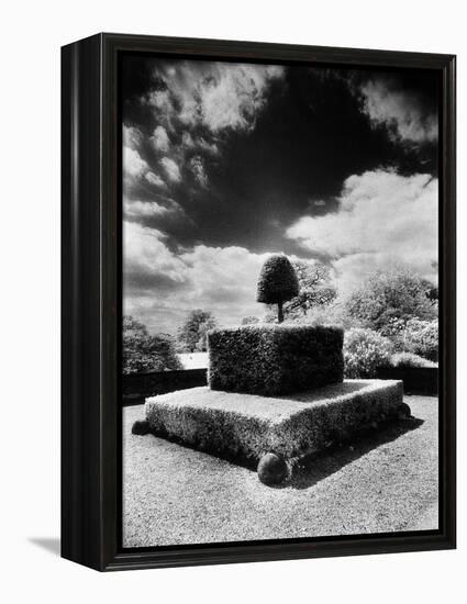 Topiary at Arley Hall, Cheshire, England-Simon Marsden-Framed Premier Image Canvas