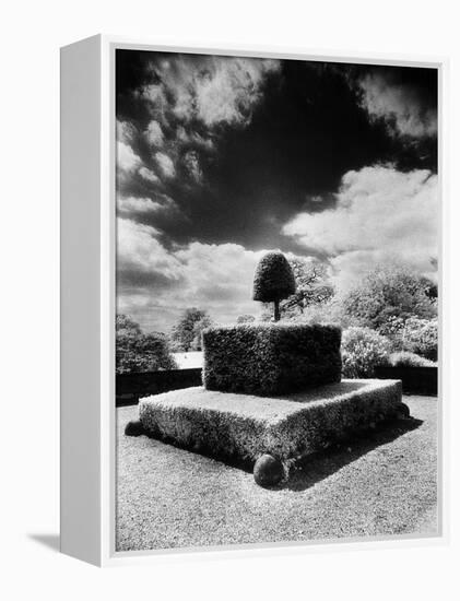 Topiary at Arley Hall, Cheshire, England-Simon Marsden-Framed Premier Image Canvas