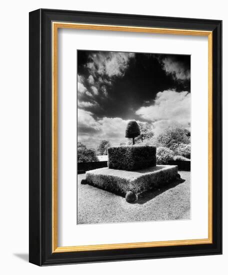 Topiary at Arley Hall, Cheshire, England-Simon Marsden-Framed Giclee Print