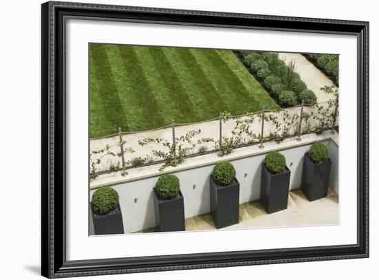 Topiary Balls in Powder-Coated Steel Containers Along the Retaining Wall-Pedro Silmon-Framed Photo