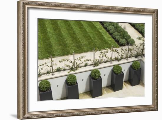 Topiary Balls in Powder-Coated Steel Containers Along the Retaining Wall-Pedro Silmon-Framed Photo