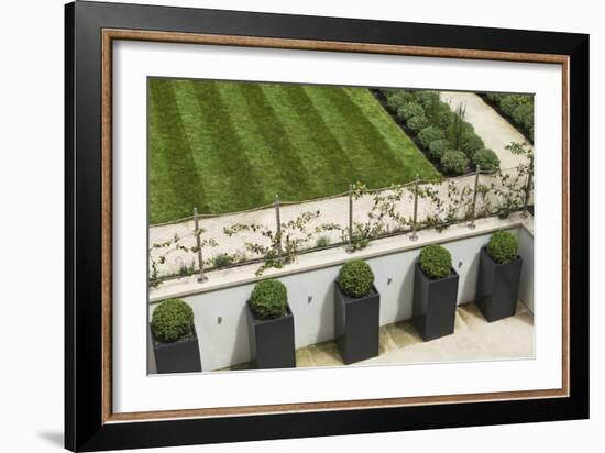 Topiary Balls in Powder-Coated Steel Containers Along the Retaining Wall-Pedro Silmon-Framed Photo