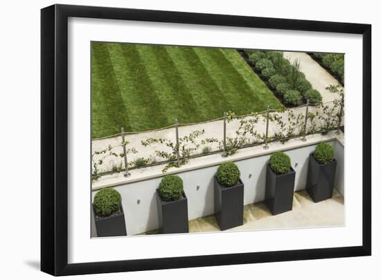 Topiary Balls in Powder-Coated Steel Containers Along the Retaining Wall-Pedro Silmon-Framed Photo