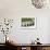 Topiary Balls in Powder-Coated Steel Containers Along the Retaining Wall-Pedro Silmon-Framed Photo displayed on a wall