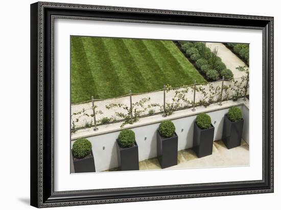 Topiary Balls in Powder-Coated Steel Containers Along the Retaining Wall-Pedro Silmon-Framed Photo