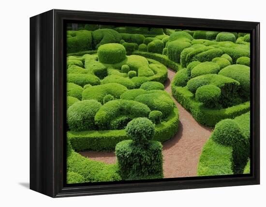 Topiary Garden at Chateau de Marqueyssac-David Burton-Framed Premier Image Canvas