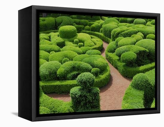 Topiary Garden at Chateau de Marqueyssac-David Burton-Framed Premier Image Canvas