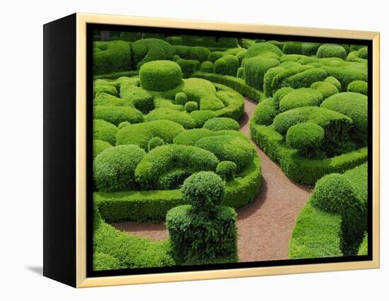 Topiary Garden at Chateau de Marqueyssac-David Burton-Framed Premier Image Canvas