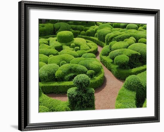 Topiary Garden at Chateau de Marqueyssac-David Burton-Framed Photographic Print