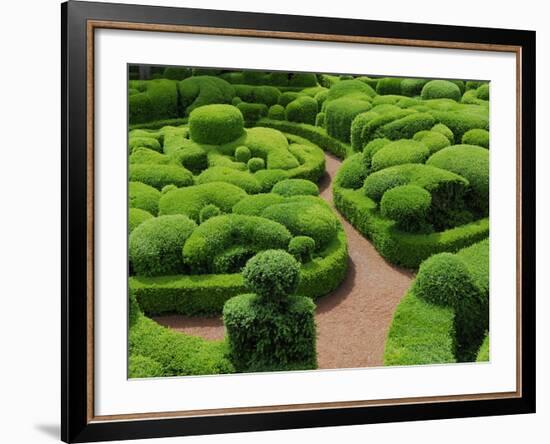 Topiary Garden at Chateau de Marqueyssac-David Burton-Framed Photographic Print